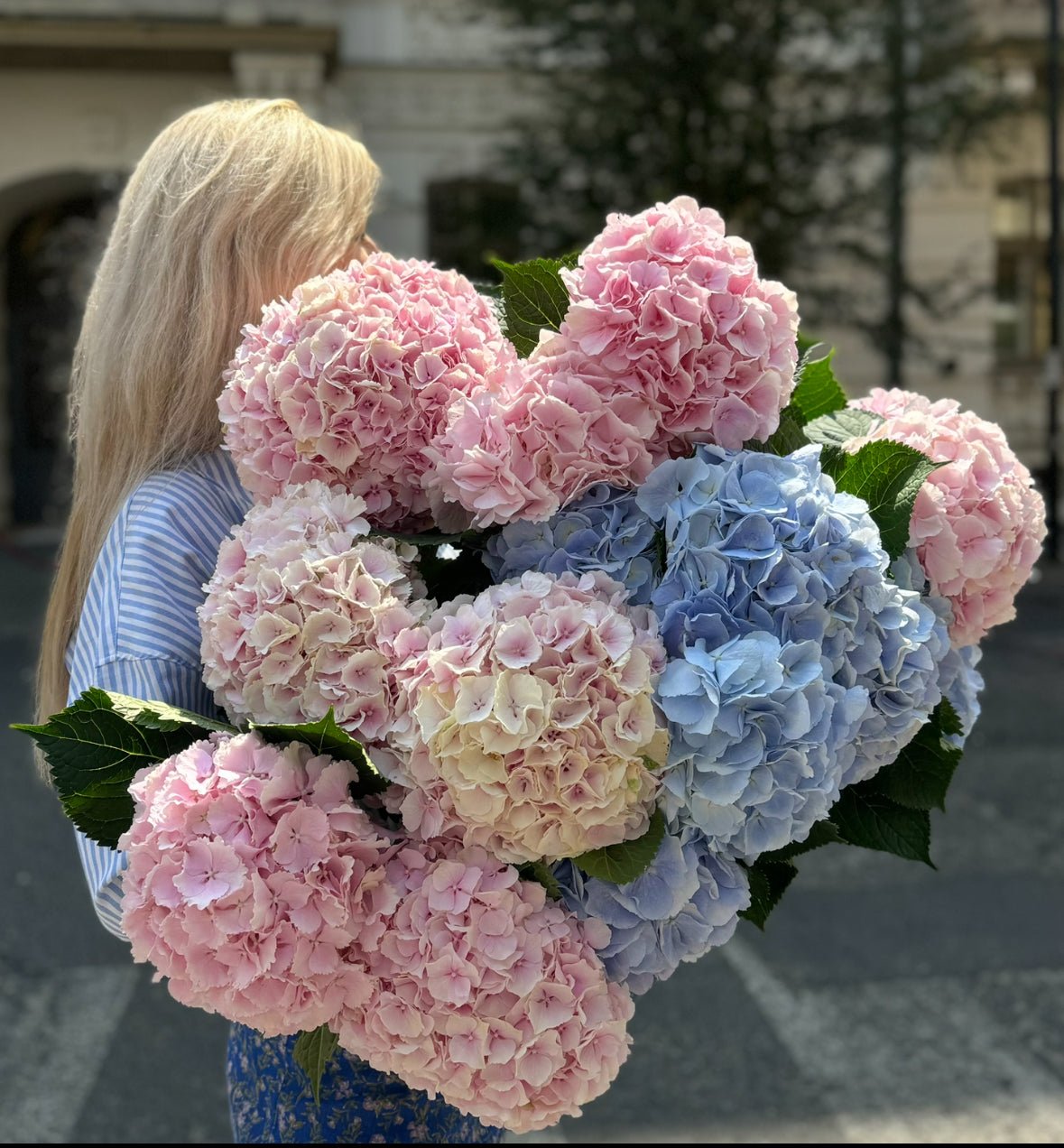 Hydrangeas bouquet
