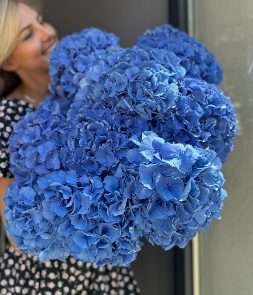Hortensje Bukiet Blue - kwiaty Flower Store Warszawa