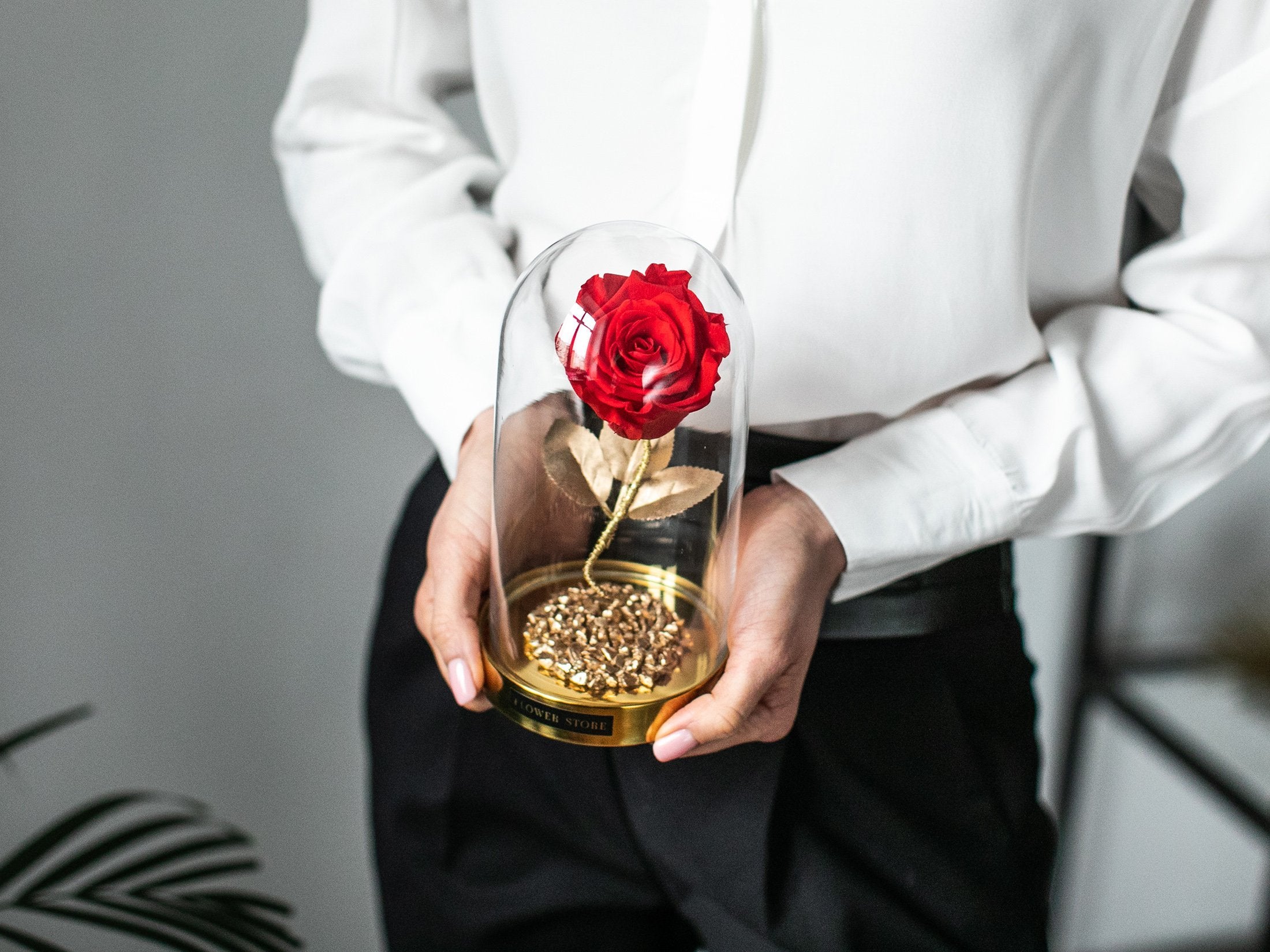 Eternal rose in a glass dome