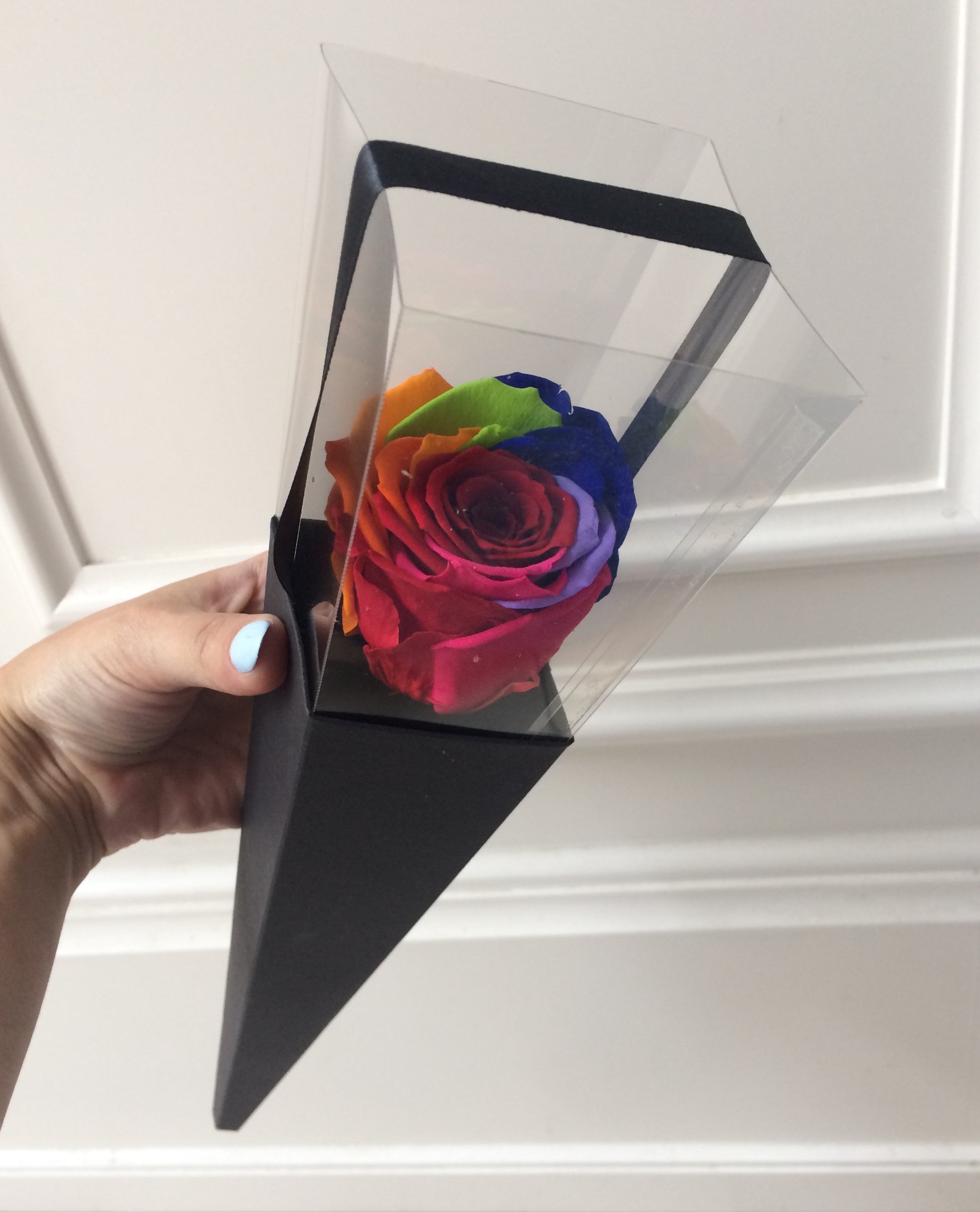 Rainbow eternal rose in a black corner