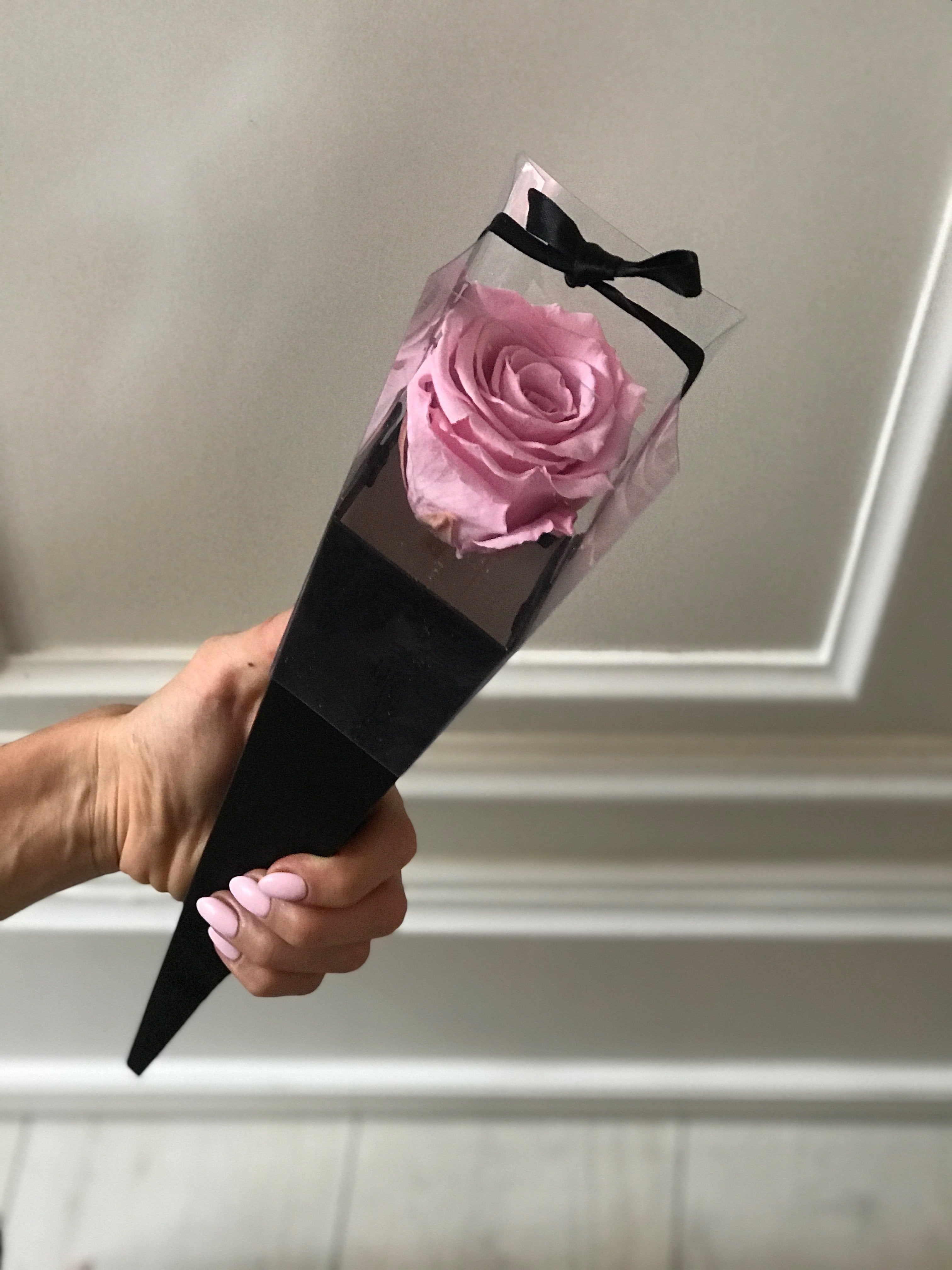 Wieczna róża w czarnym rożku -  różne kolory