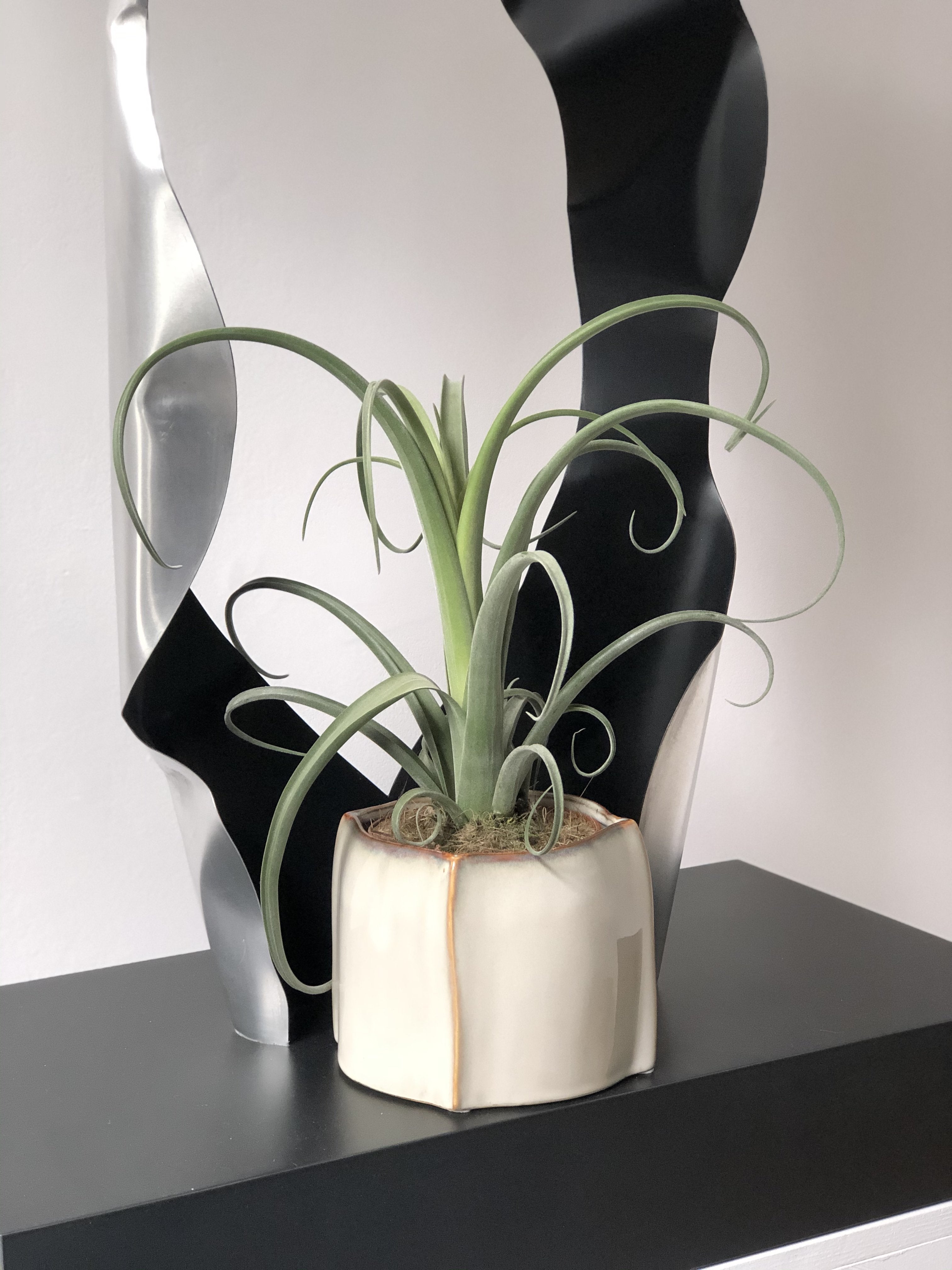 Entanglement - a set without a pot