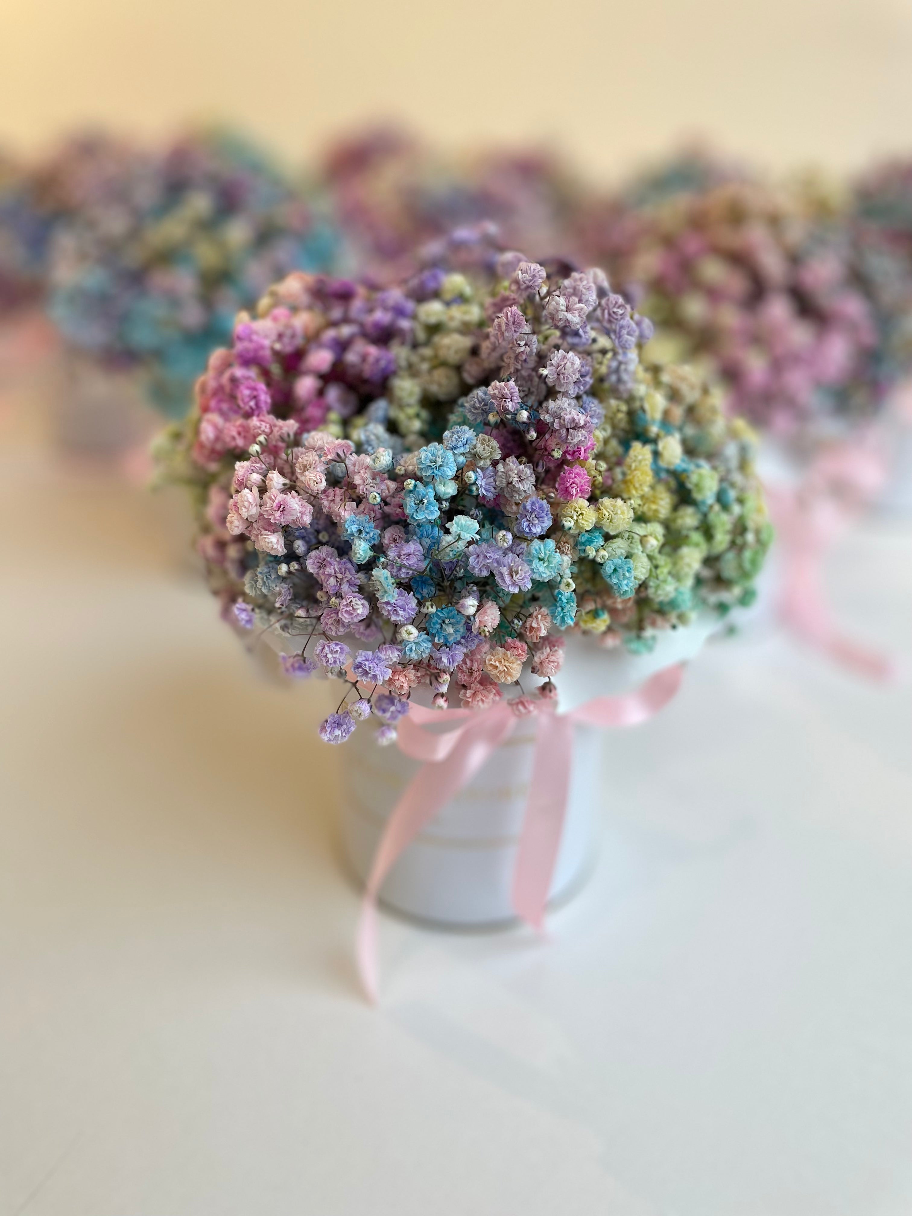 Flowerbox with Colorful Plaster