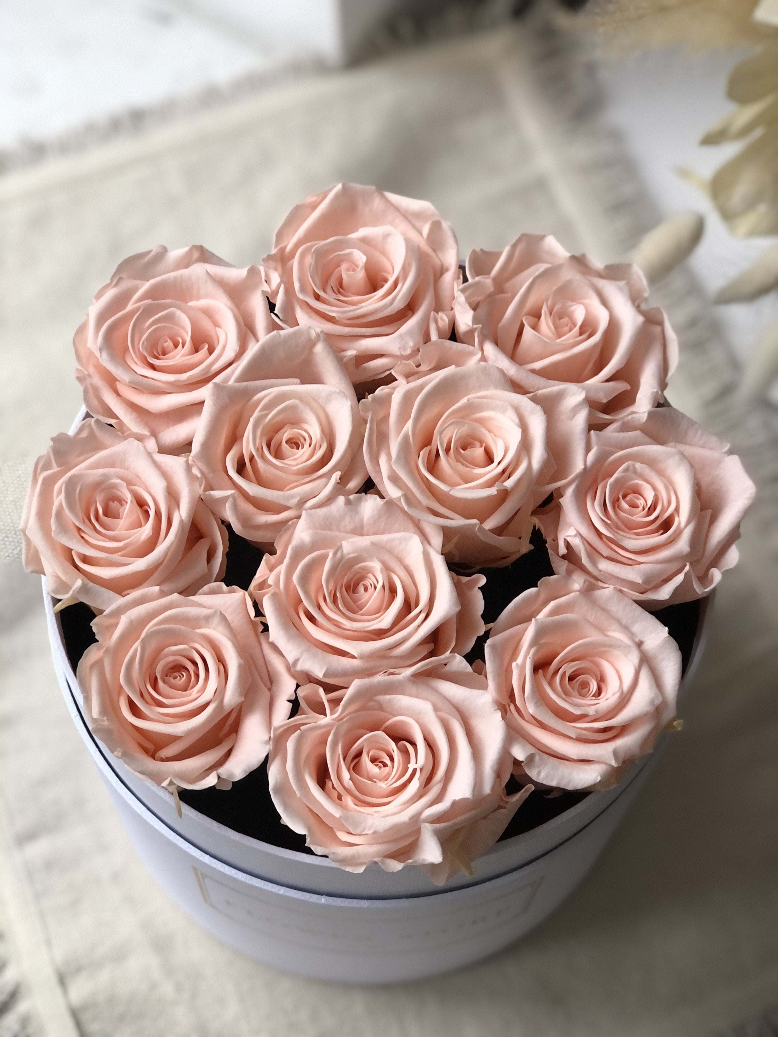 White flowerbox with pale pink eternal roses