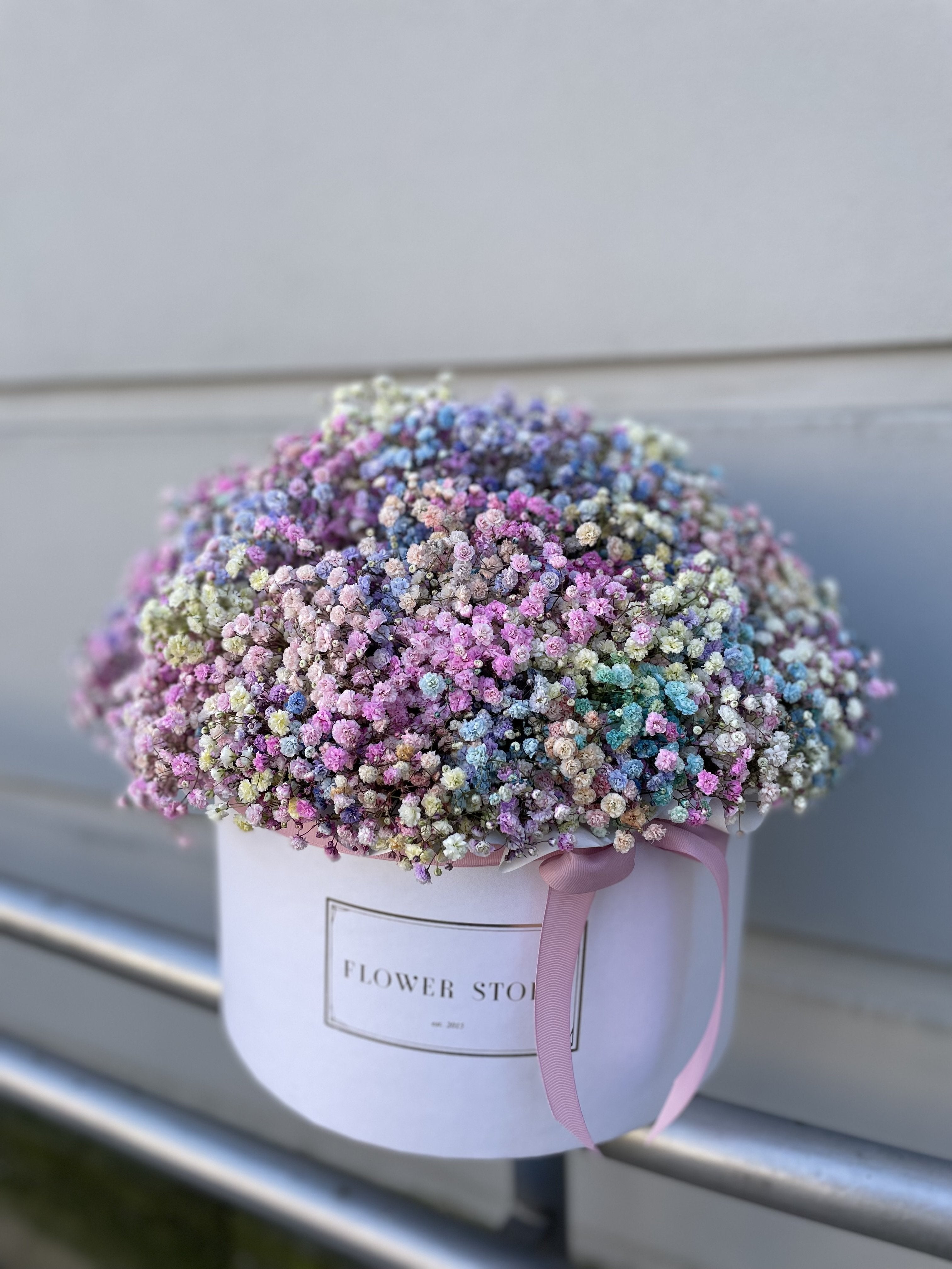 Flowerbox with Colorful Plaster