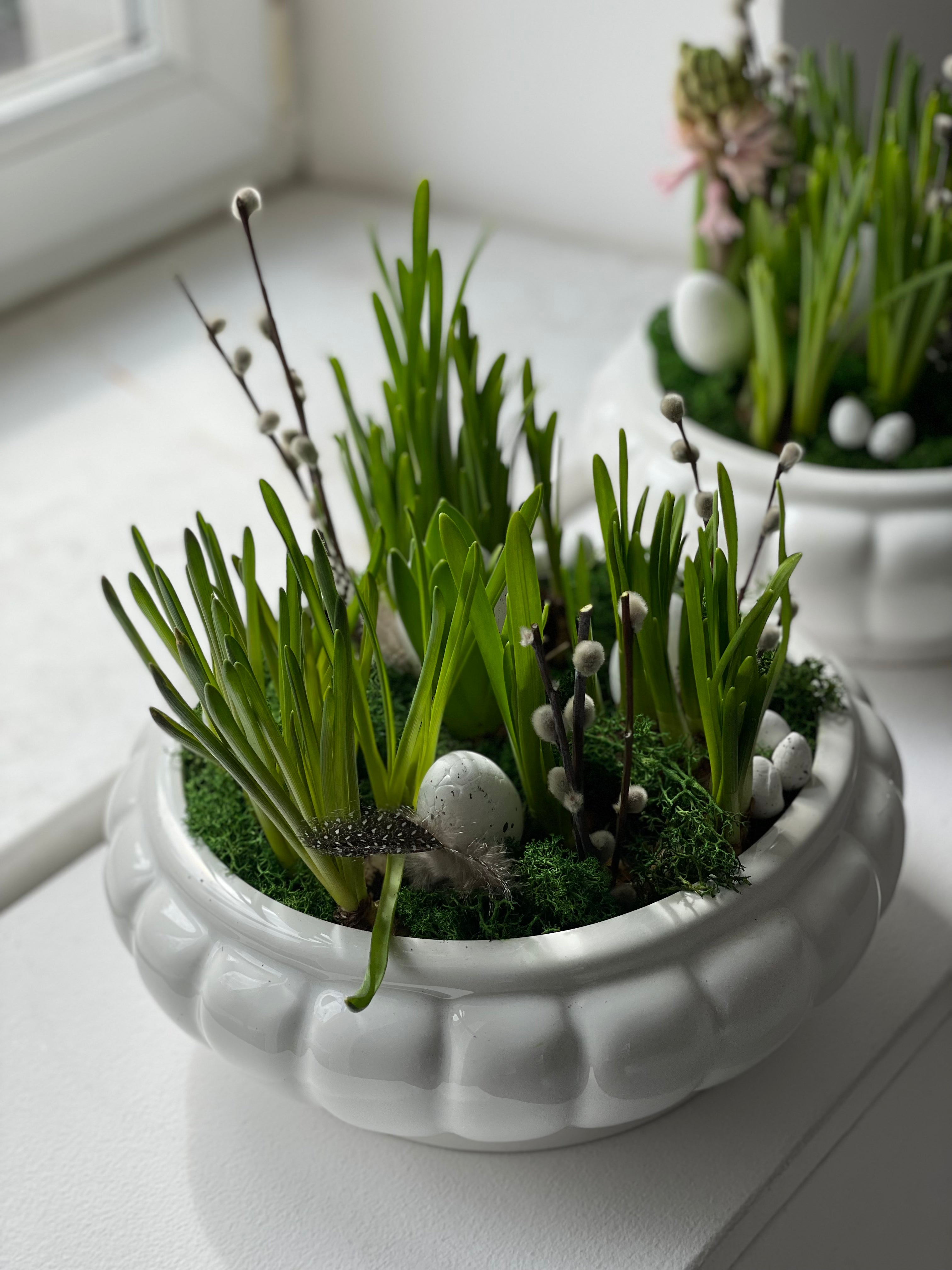 Live Premium Easter composition
