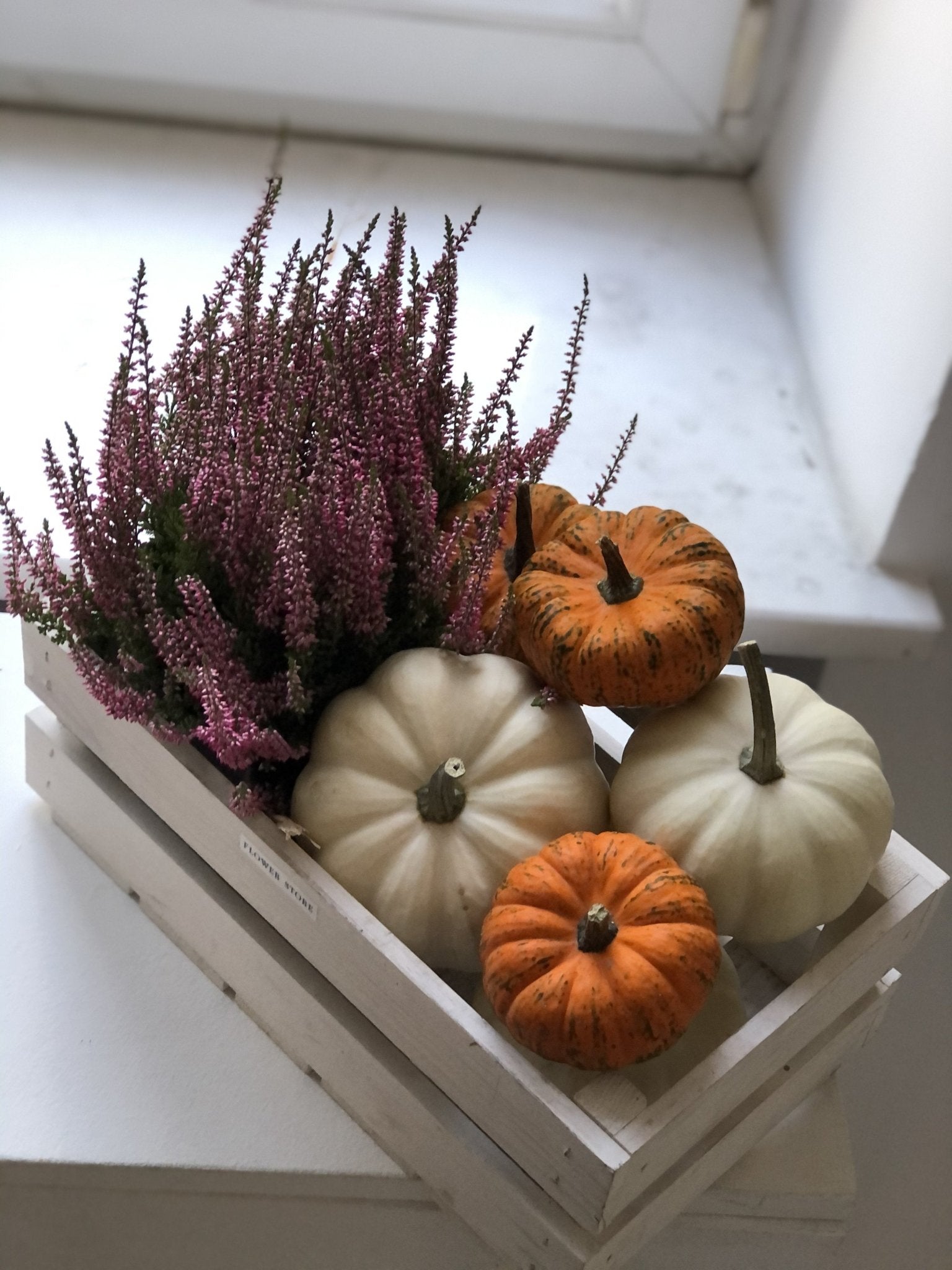 Skrzyneczka z wrzosem i dyniami 🖤🤍 - kwiaty Flower Store Warszawa