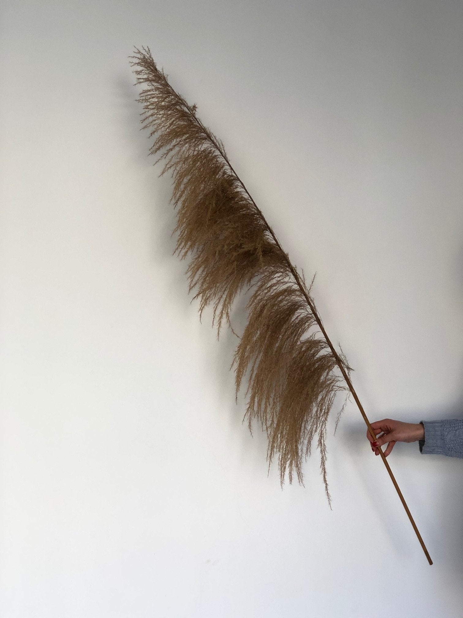 Trawa pampasowa - duża - kwiaty Flower Store Warszawa