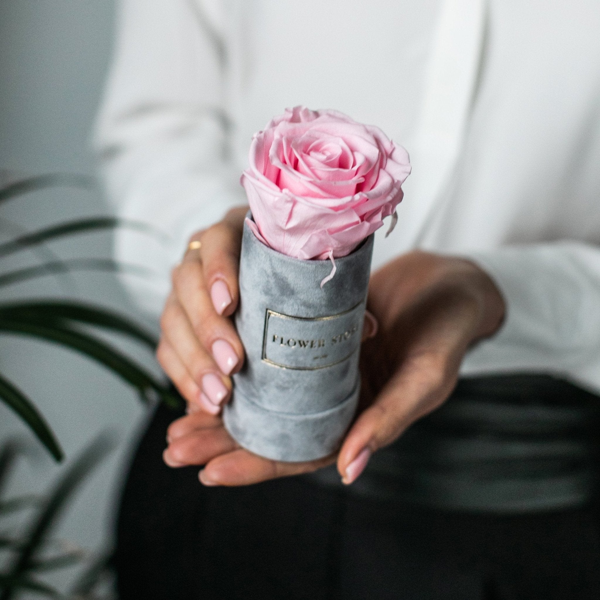 Wieczna róża mini flowerbox - wiele kolorów - kwiaty Flower Store Warszawa