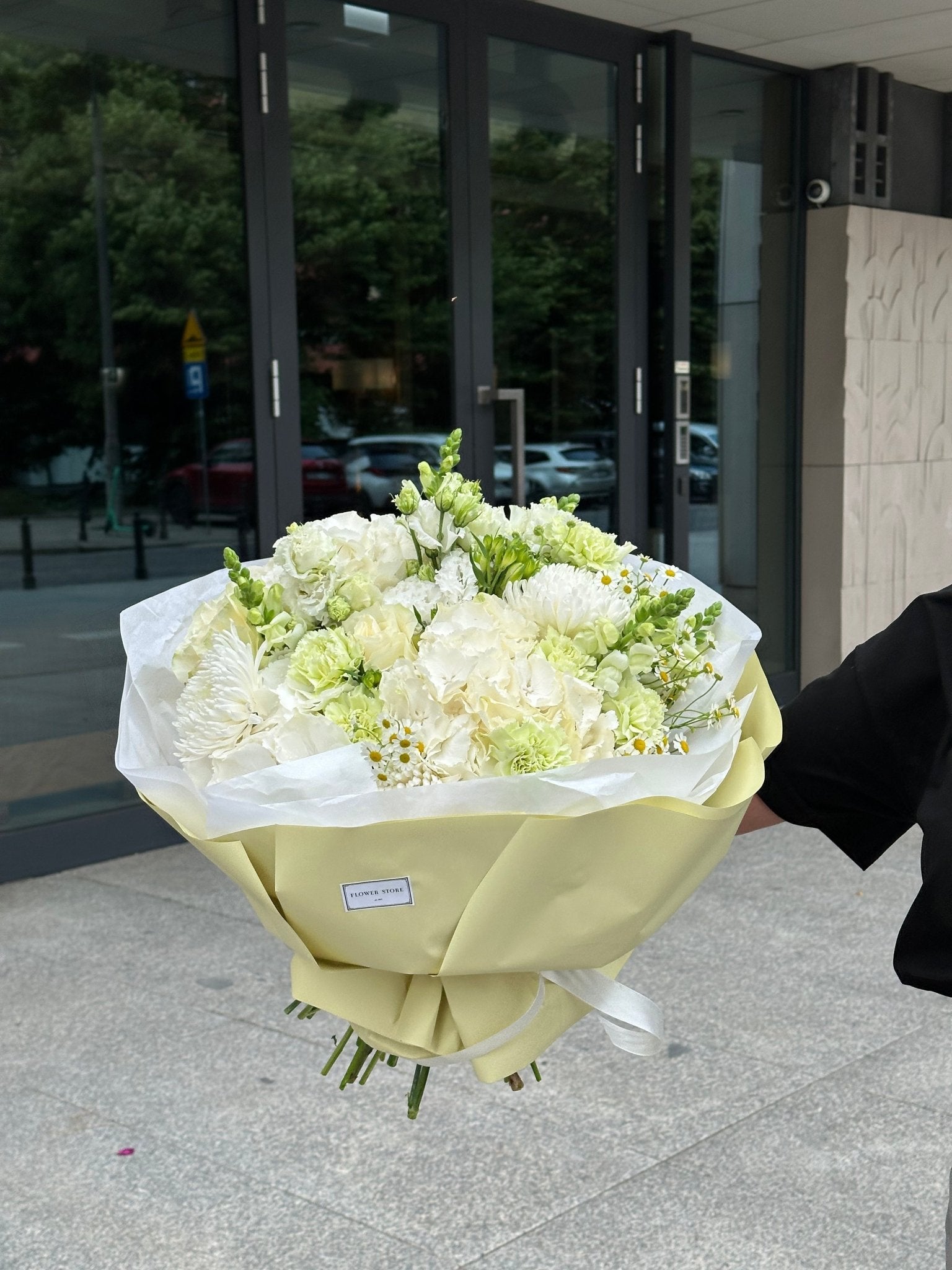 Najlepsze rośliny do biura w Warszawie: 20 gatunków o niskich wymaganiach - Flower Store