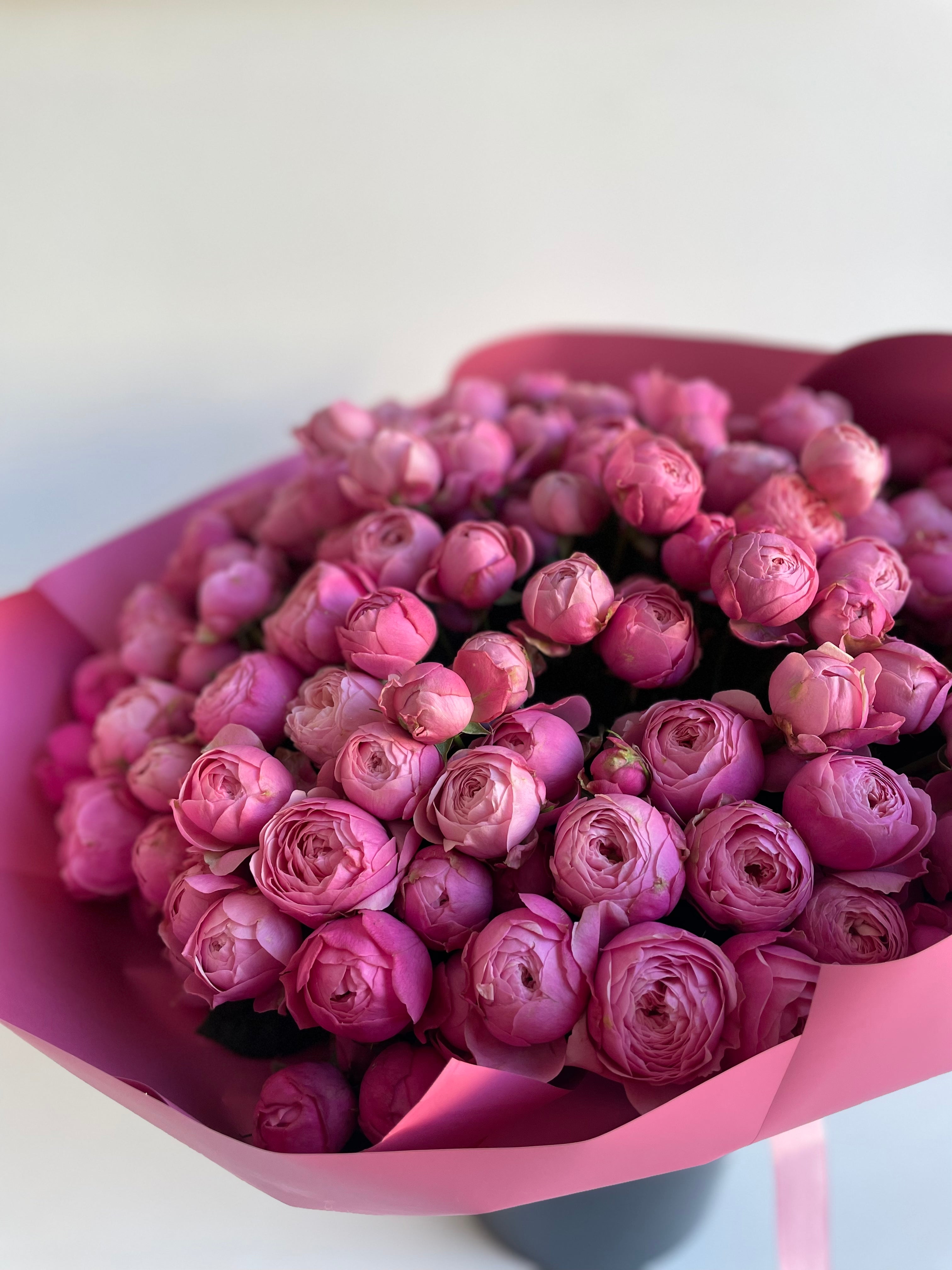 Peony twig roses