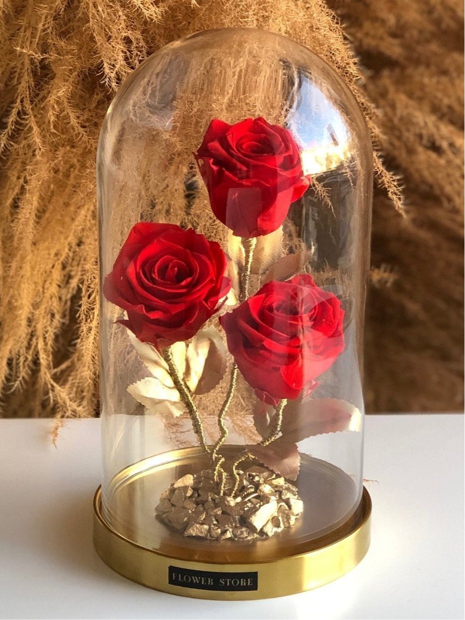 Rose in glass - variants