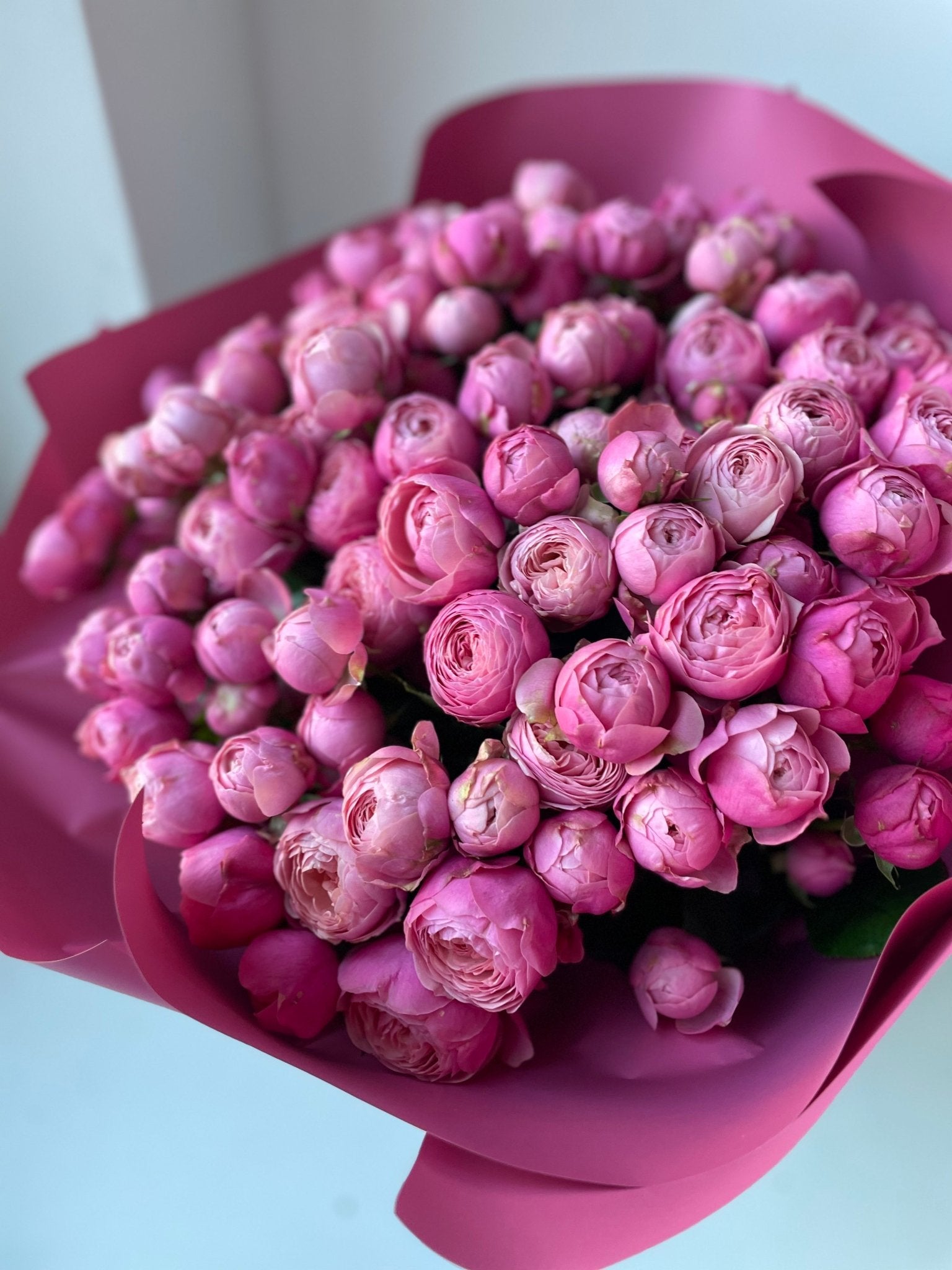 Róże gałązkowe Peoniowe - kwiaty Flower Store Warszawa