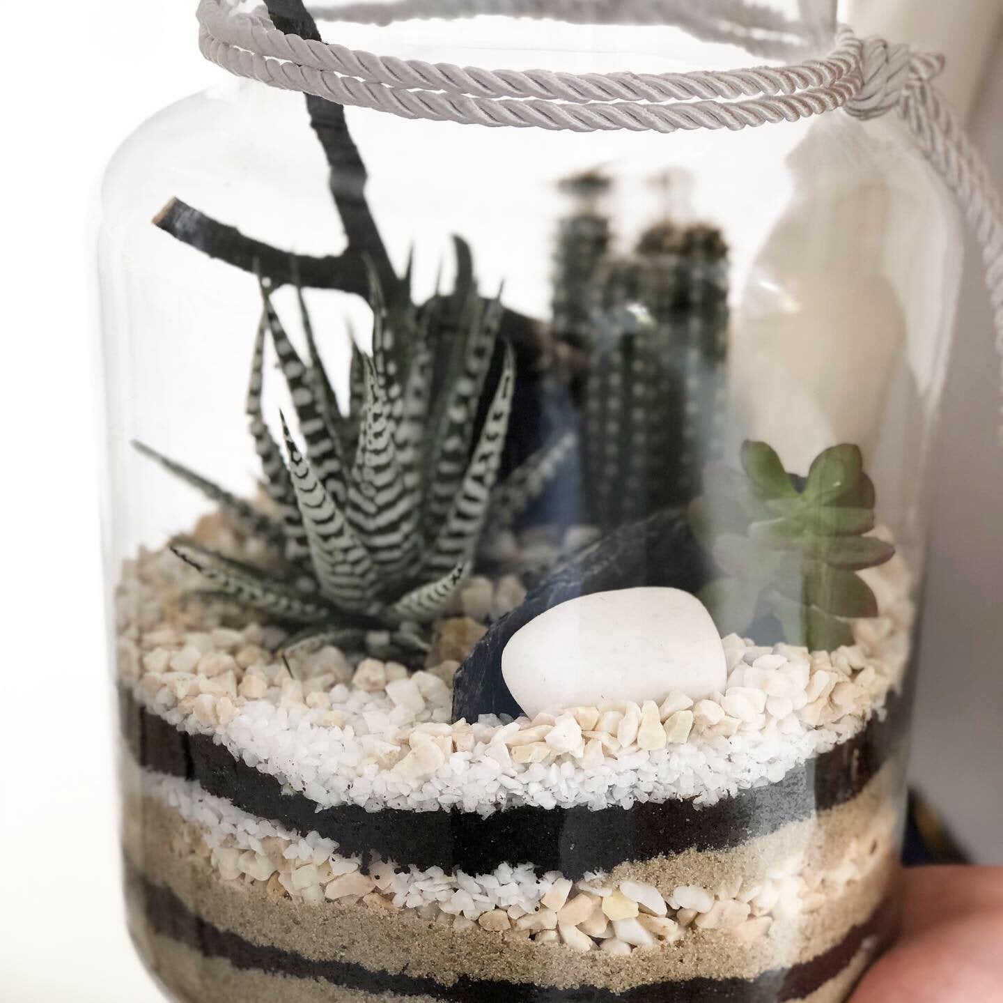Forest in a jar Desert