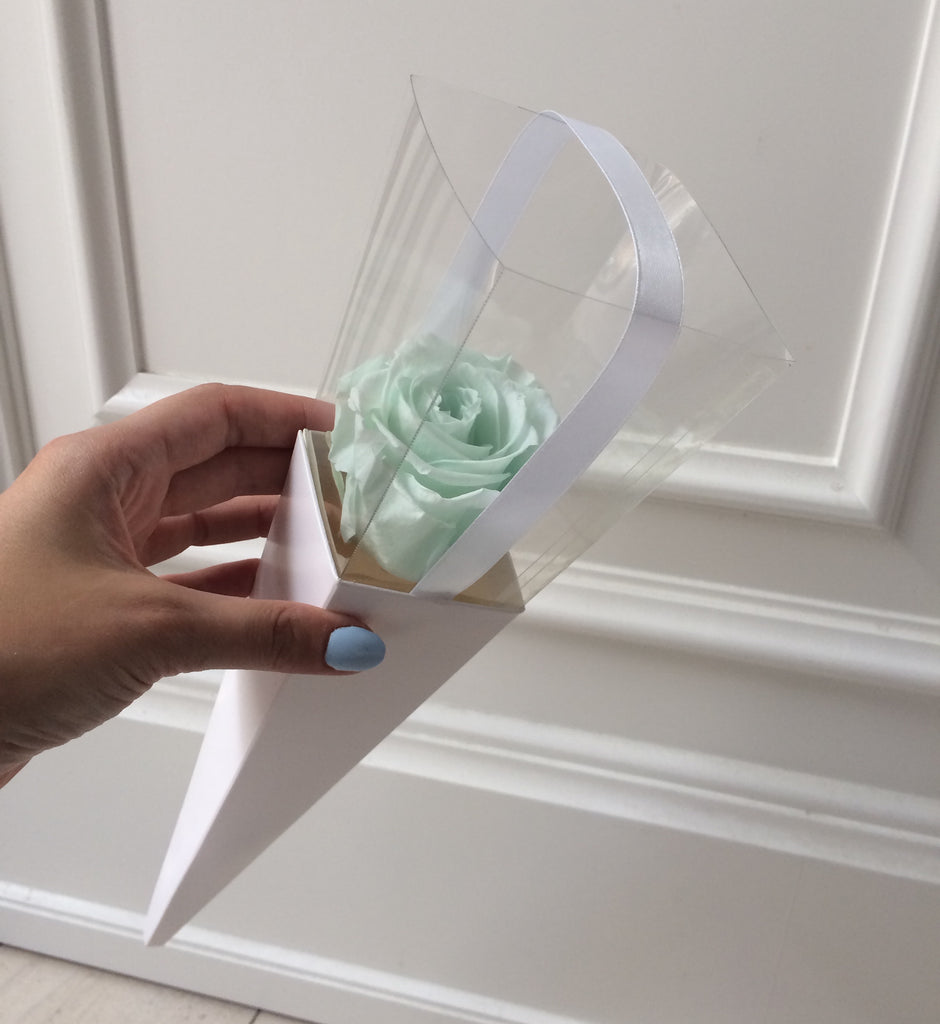 Mint rose in a white cone