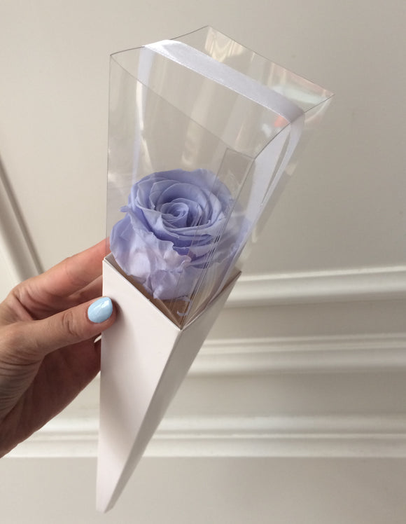 Blue eternal rose in a white cone