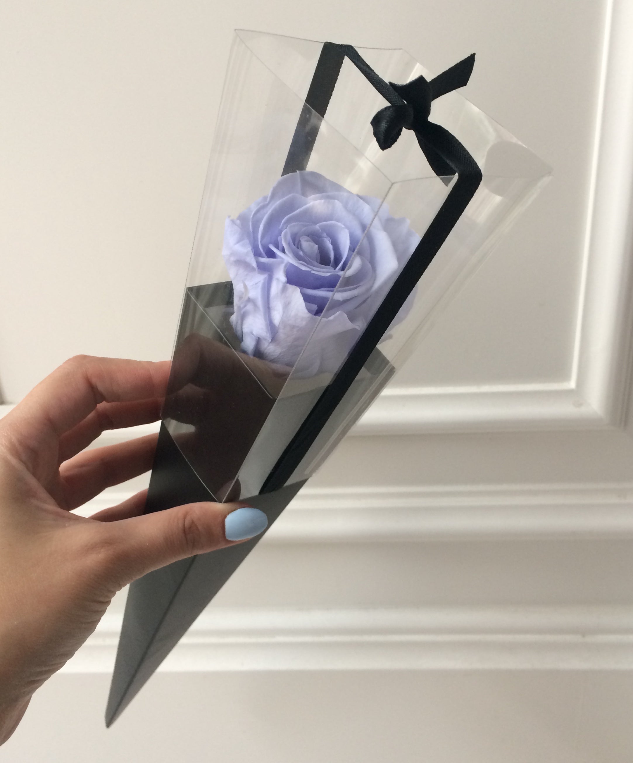 Blue eternal rose in a black cone