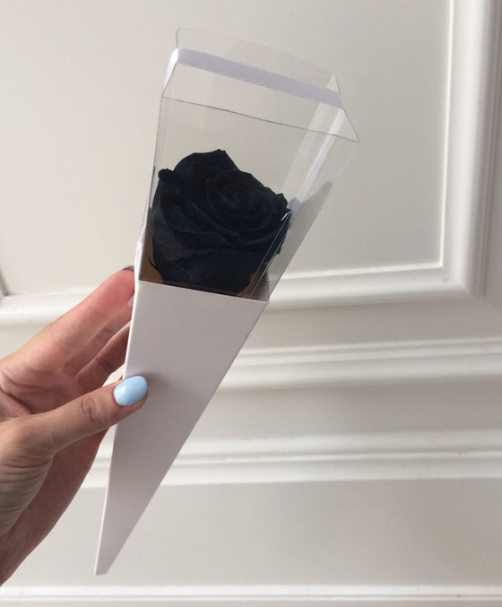 Eternal black rose in a white cone