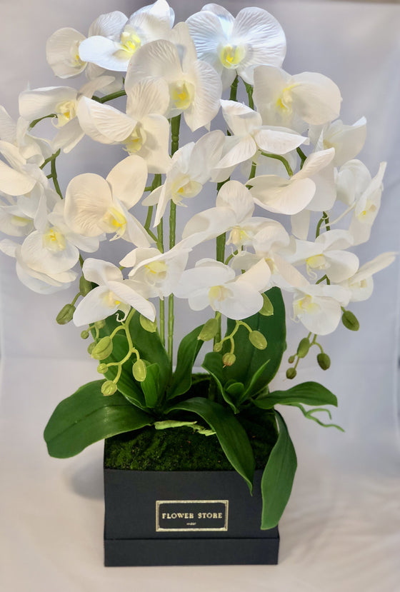 Exclusive orchids in a square black box - artificial flowers