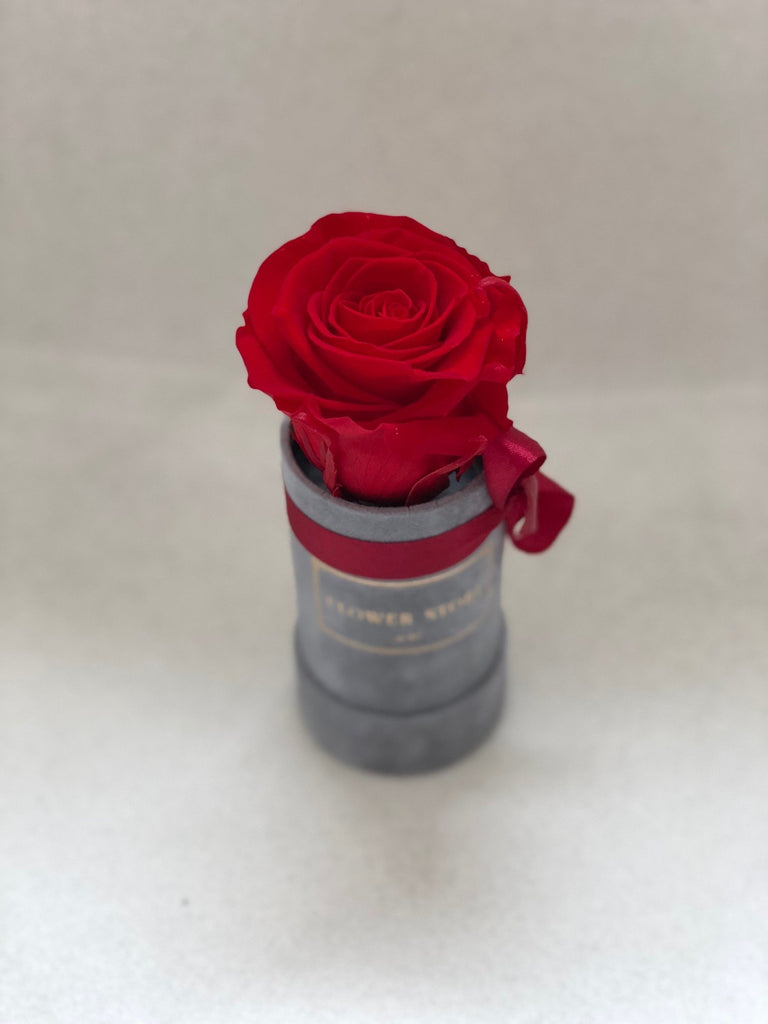 Mini flocked flowerbox with a red eternal rose