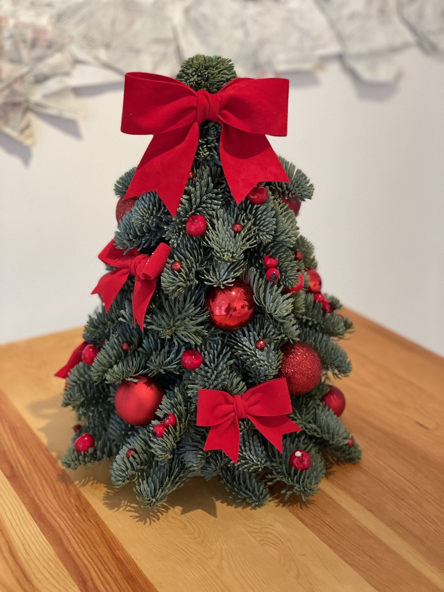 Choinka żywa - Mini Red Christmas - kwiaty Flower Store Warszawa