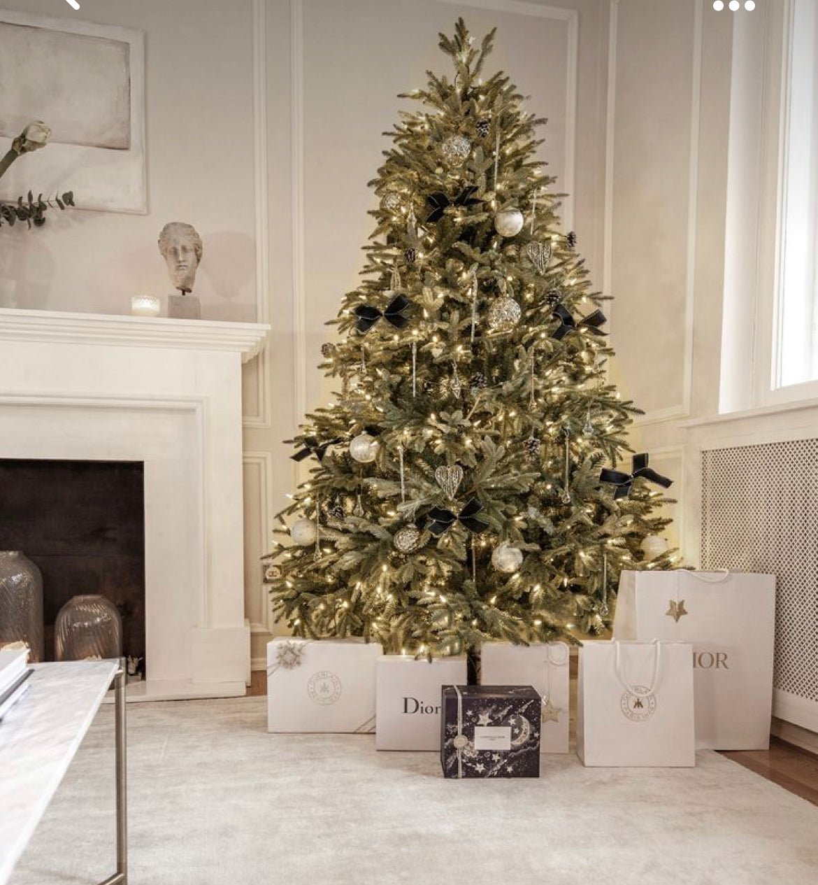 A decorated, live Christmas tree for your home or business with lights