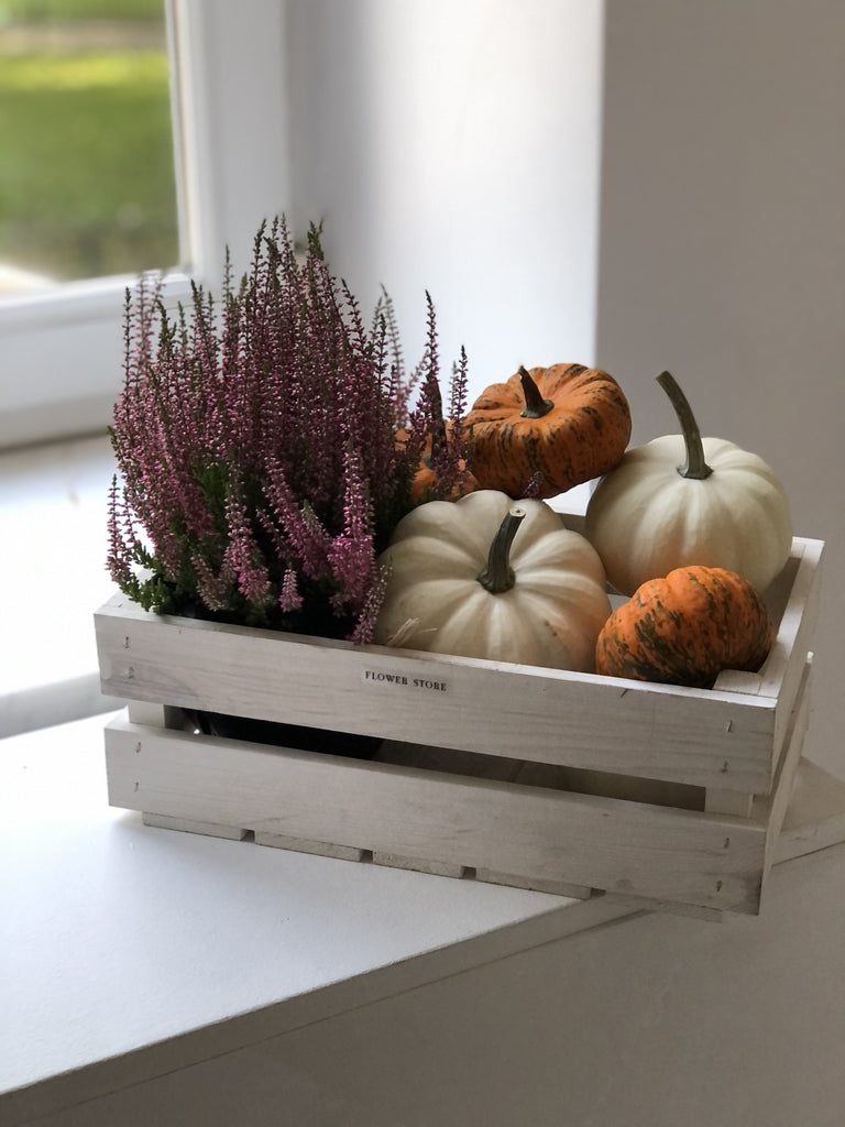 Box with heather and pumpkins 🖤🤍
