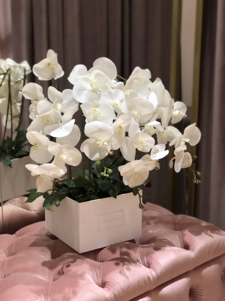 Exclusive orchid in a white box - artificial flowers