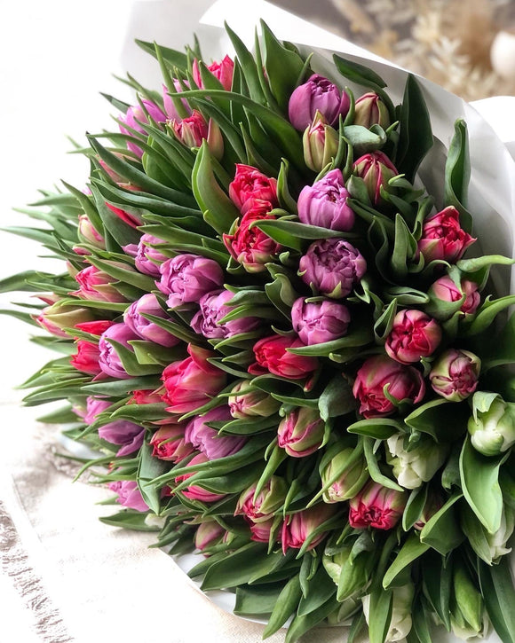 Bouquet of 100 tulips