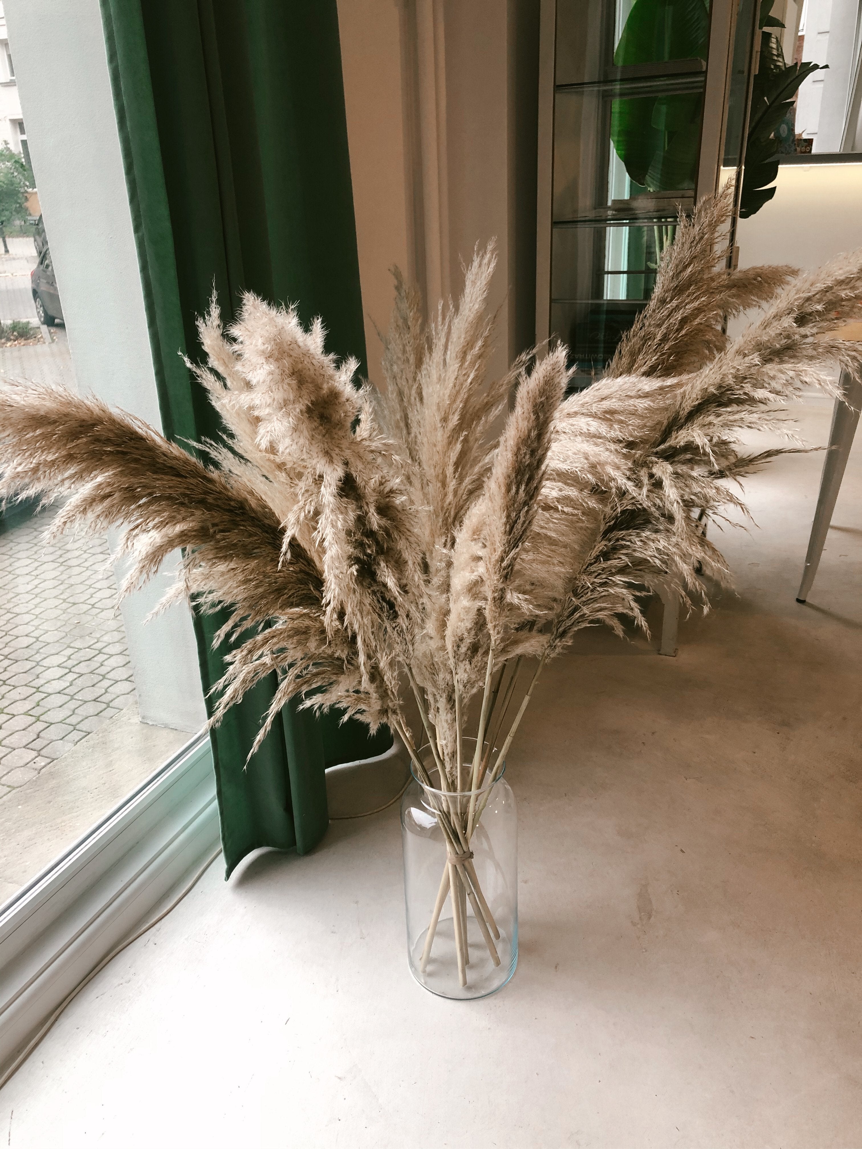 Pampas grass 10 pieces with vase
