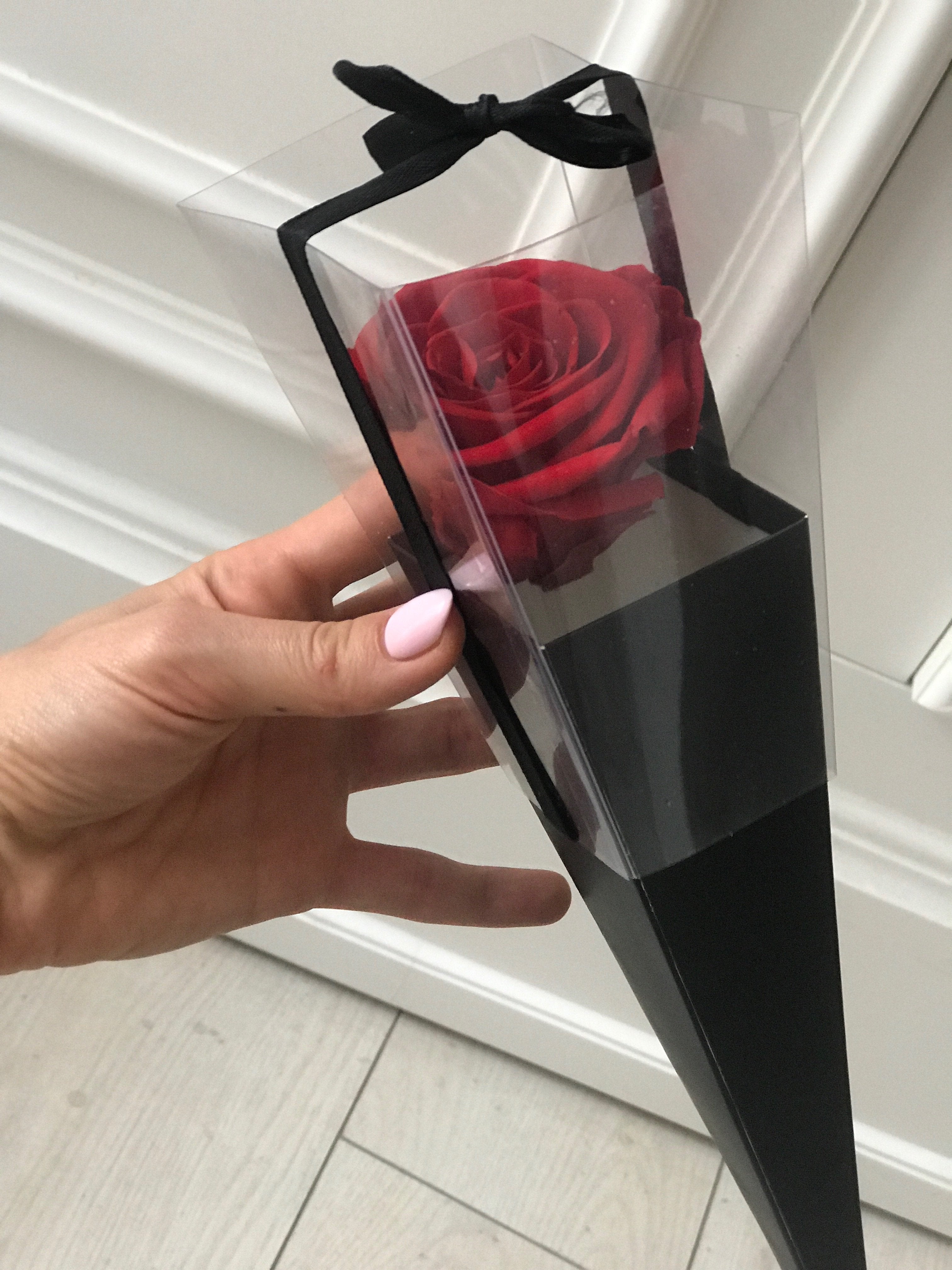 Red eternal rose in a black cone