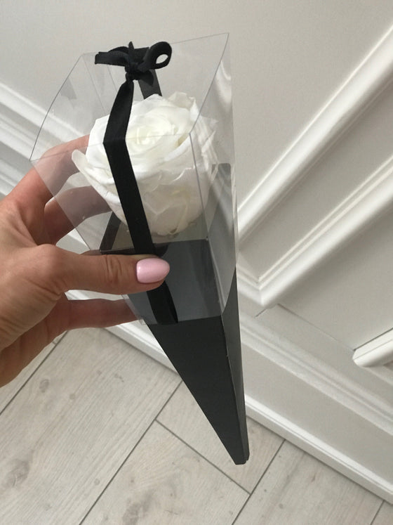 White eternal rose in a black cone