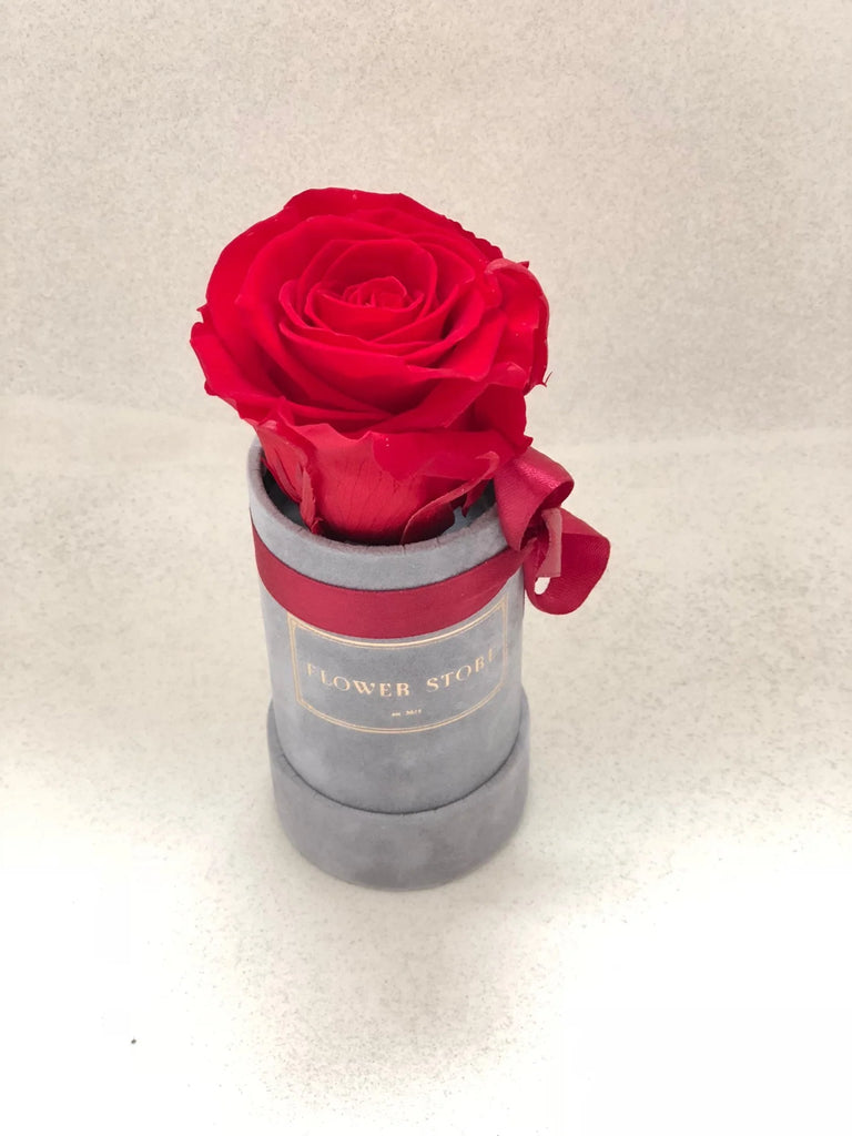 Wieczna róża flowerbox - wiele kolorów