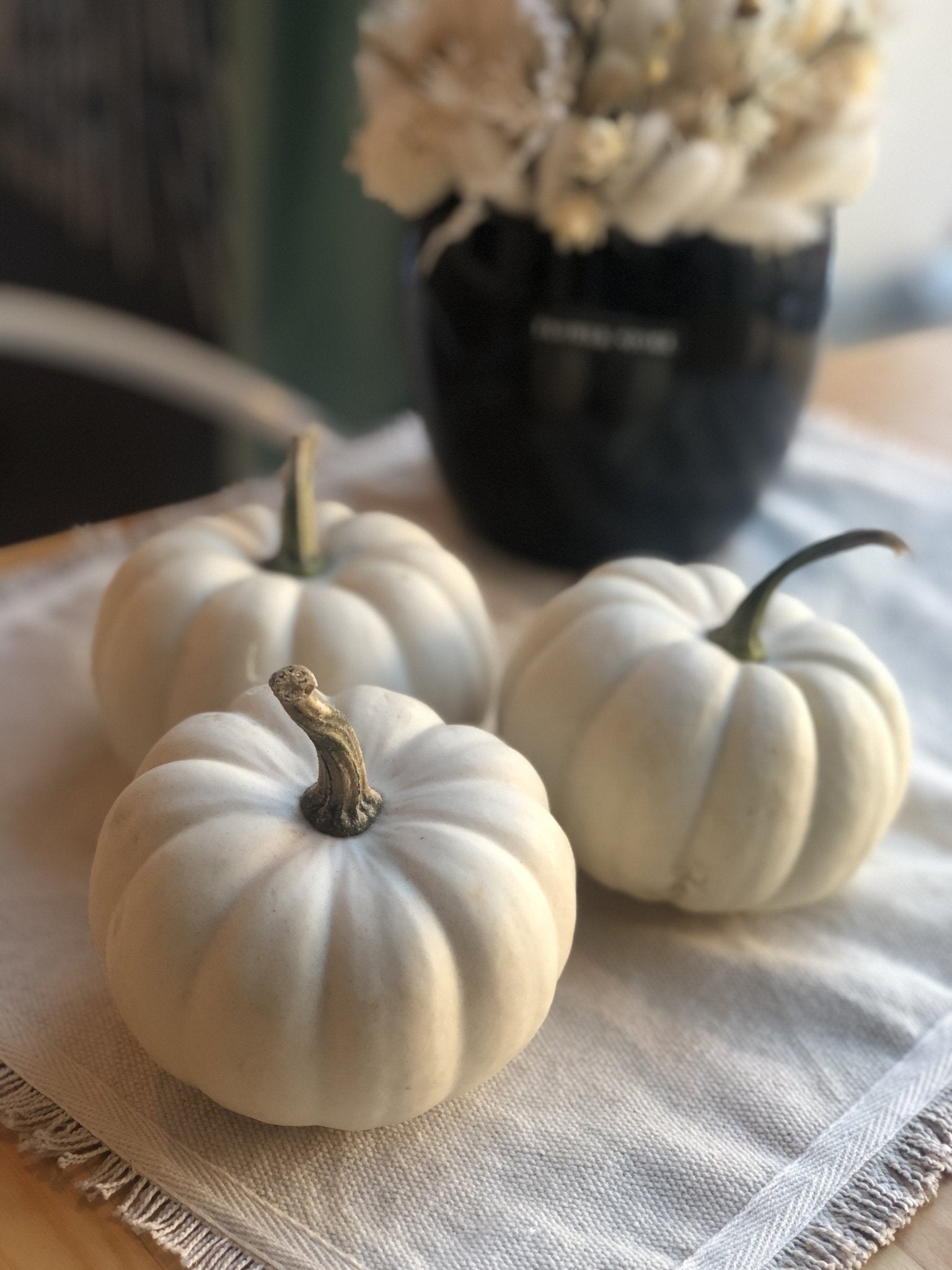 Naturalne Trio - dynie 🖤🤍 - kwiaty Flower Store Warszawa