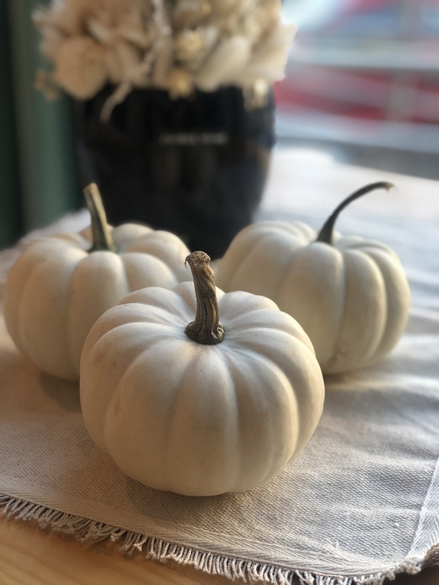 Naturalne Trio - dynie 🖤🤍 - kwiaty Flower Store Warszawa