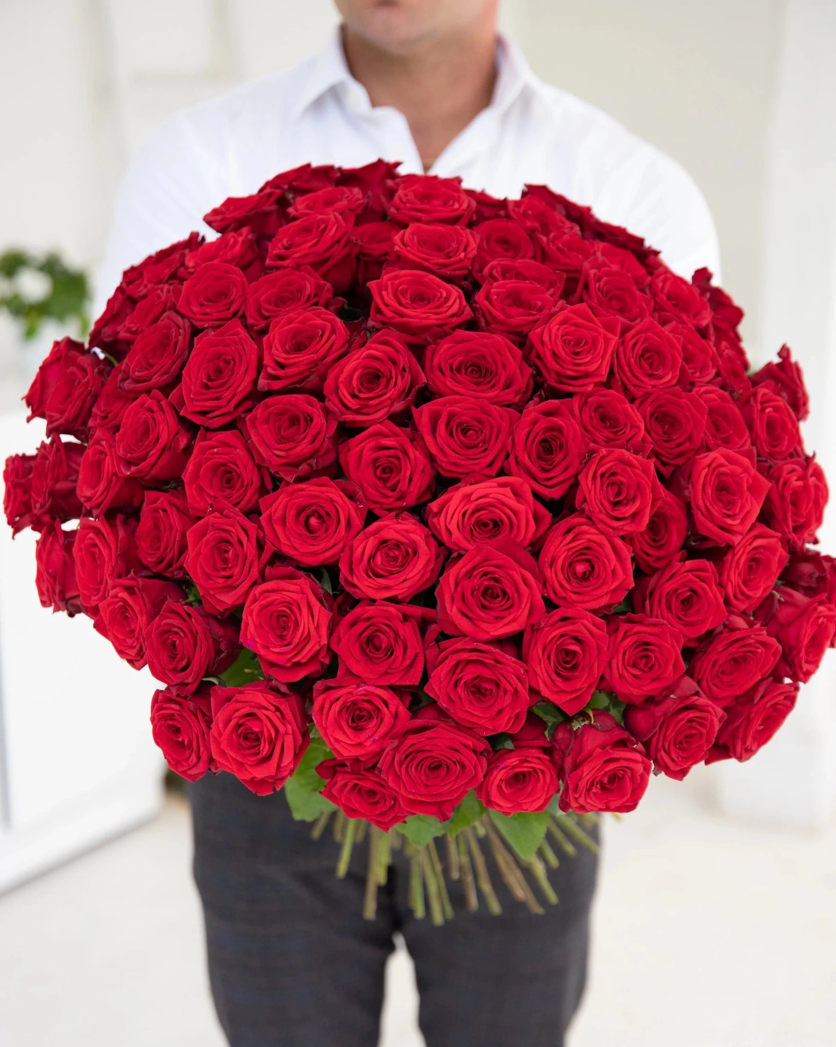 Ogromny urodzinowy Bukiet 101 róż - kwiaty Flower Store Warszawa