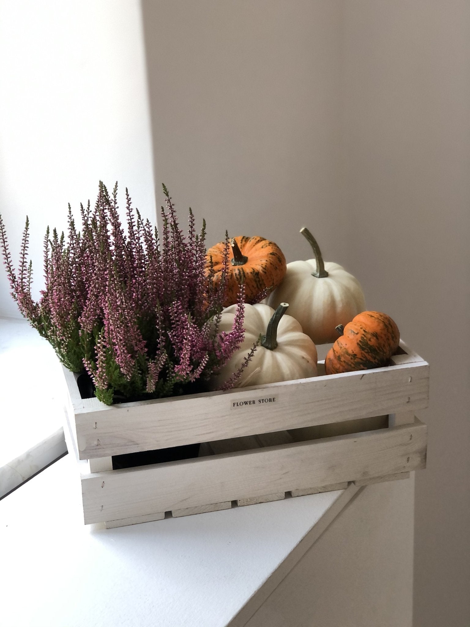 Skrzyneczka z wrzosem i dyniami 🖤🤍 - kwiaty Flower Store Warszawa