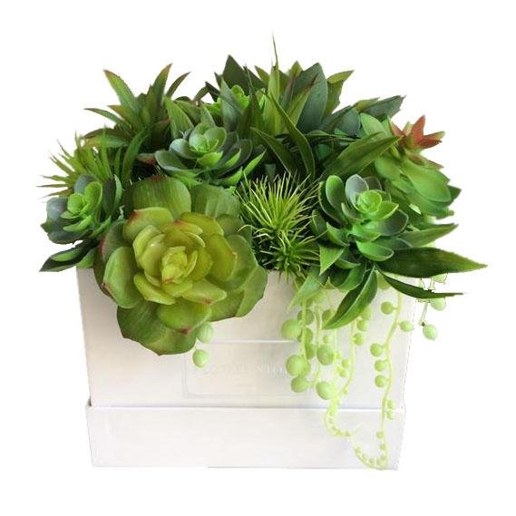 Square box with succulents - artificial flowers