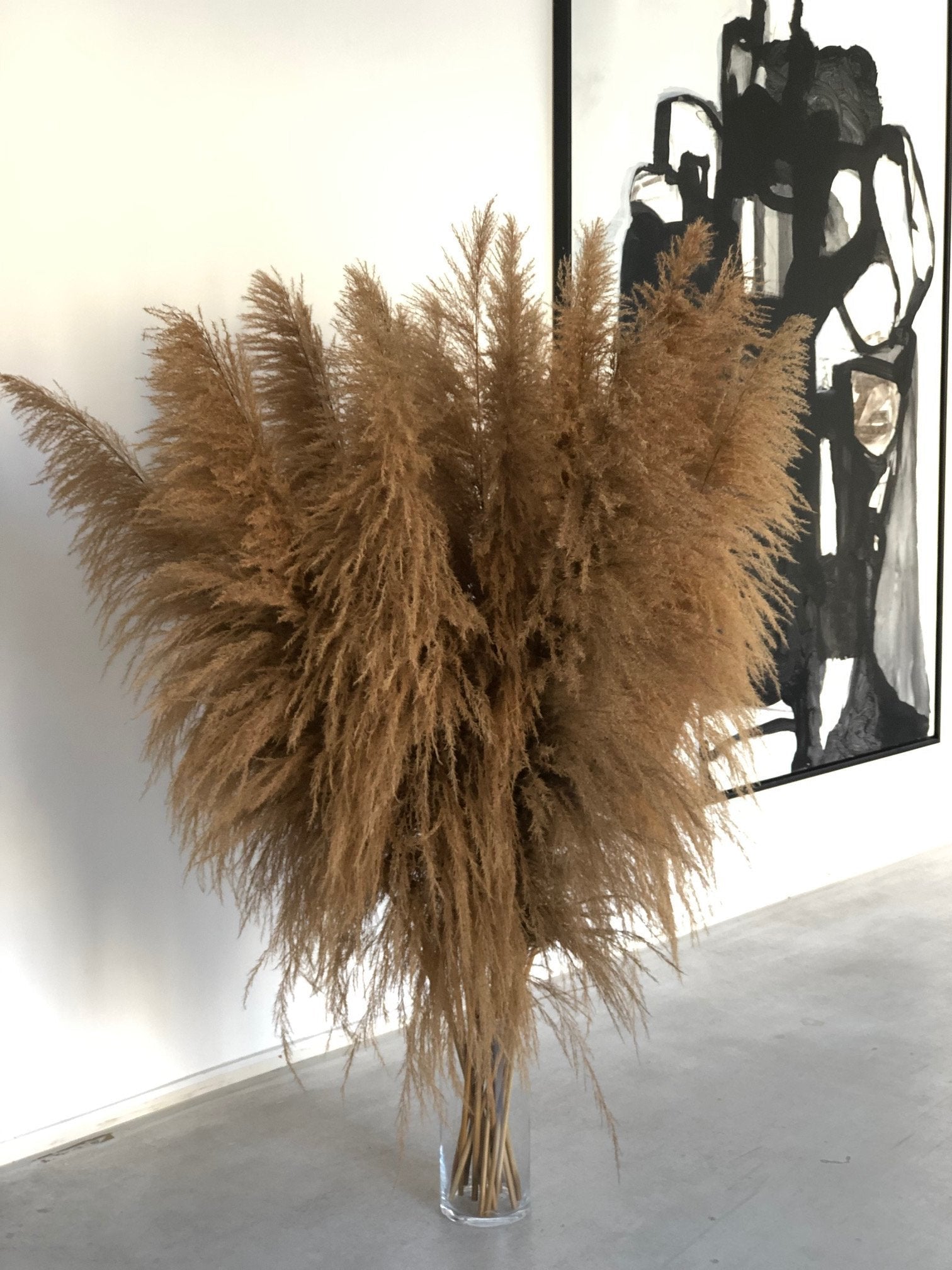 Trawa pampasowa - duża - kwiaty Flower Store Warszawa