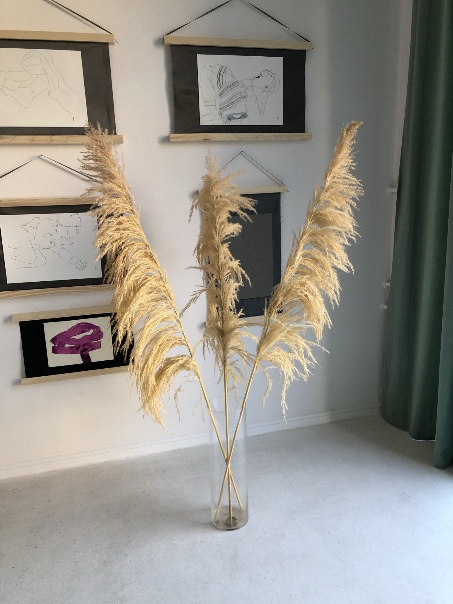 Trawa pampasowa - Naturalna jasna - kwiaty Flower Store Warszawa