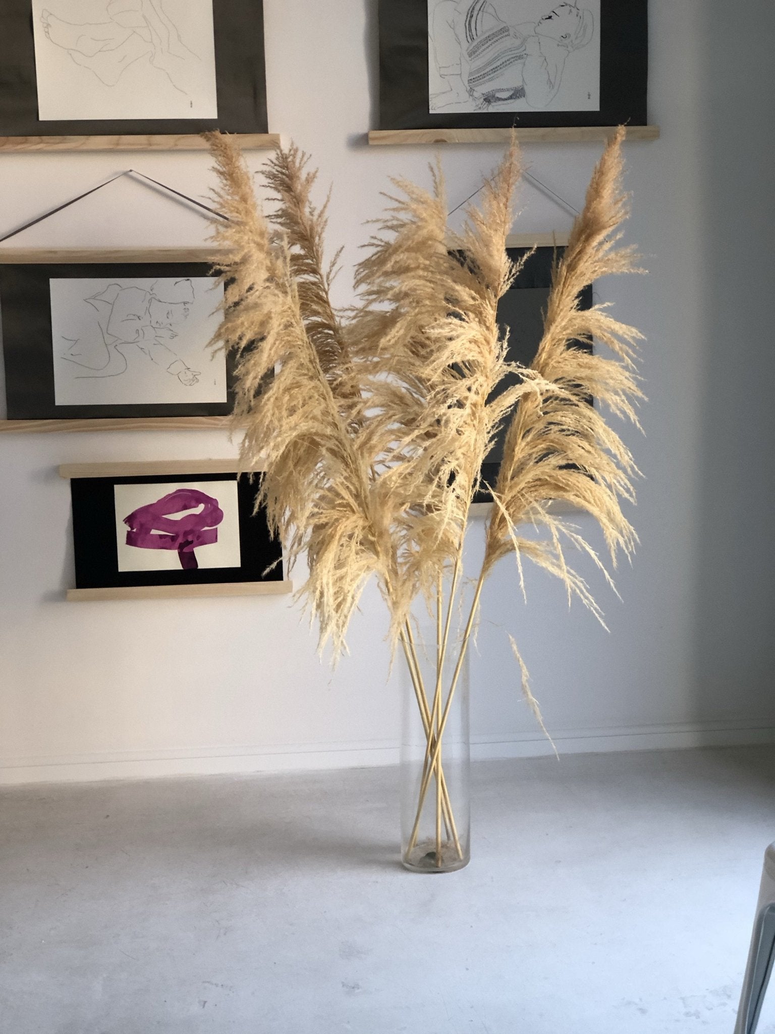 Trawa pampasowa - Naturalna jasna - kwiaty Flower Store Warszawa