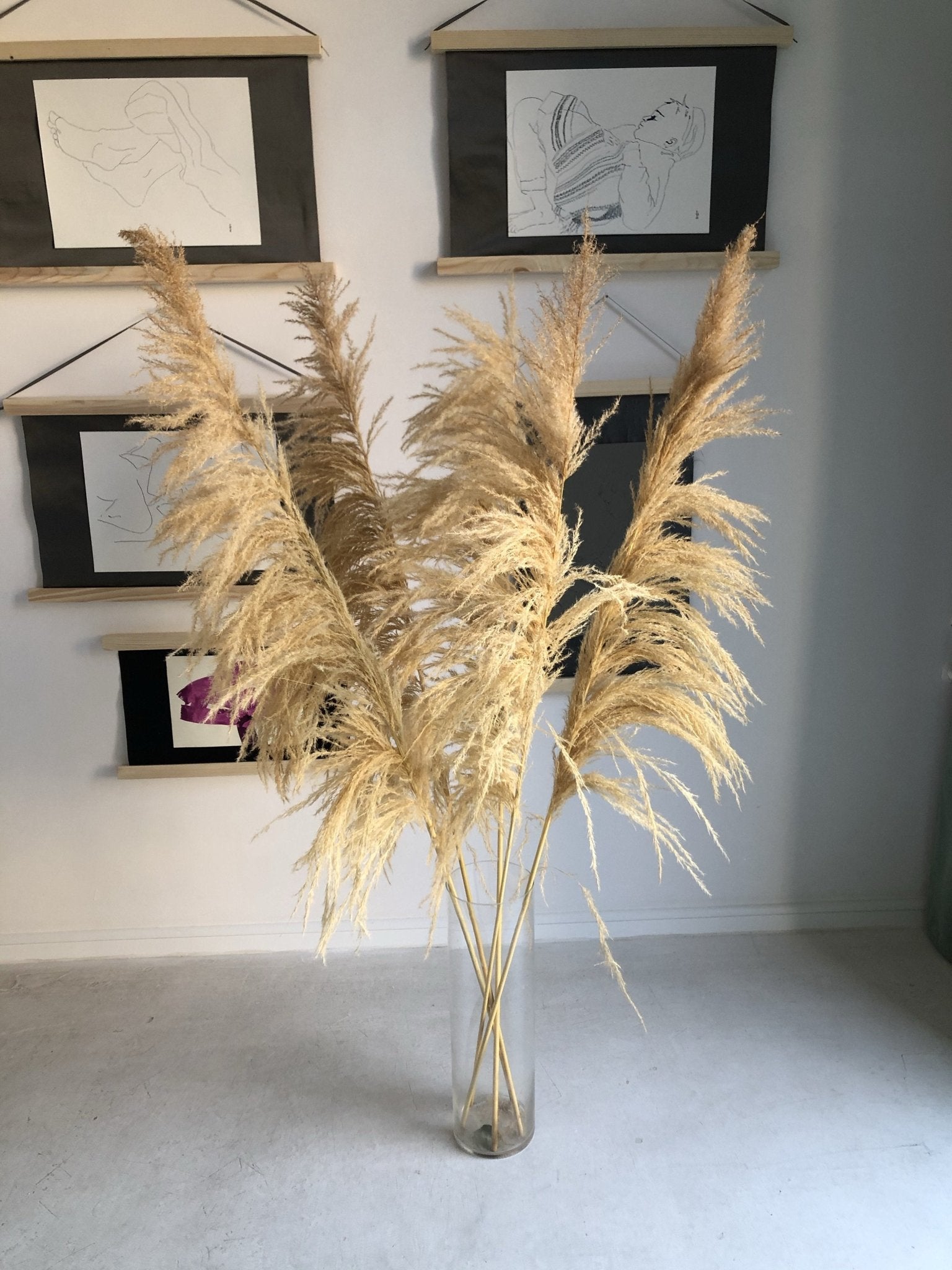 Trawa pampasowa - Naturalna jasna - kwiaty Flower Store Warszawa