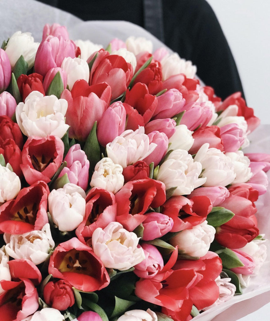 Bukiet 100 tulipanów